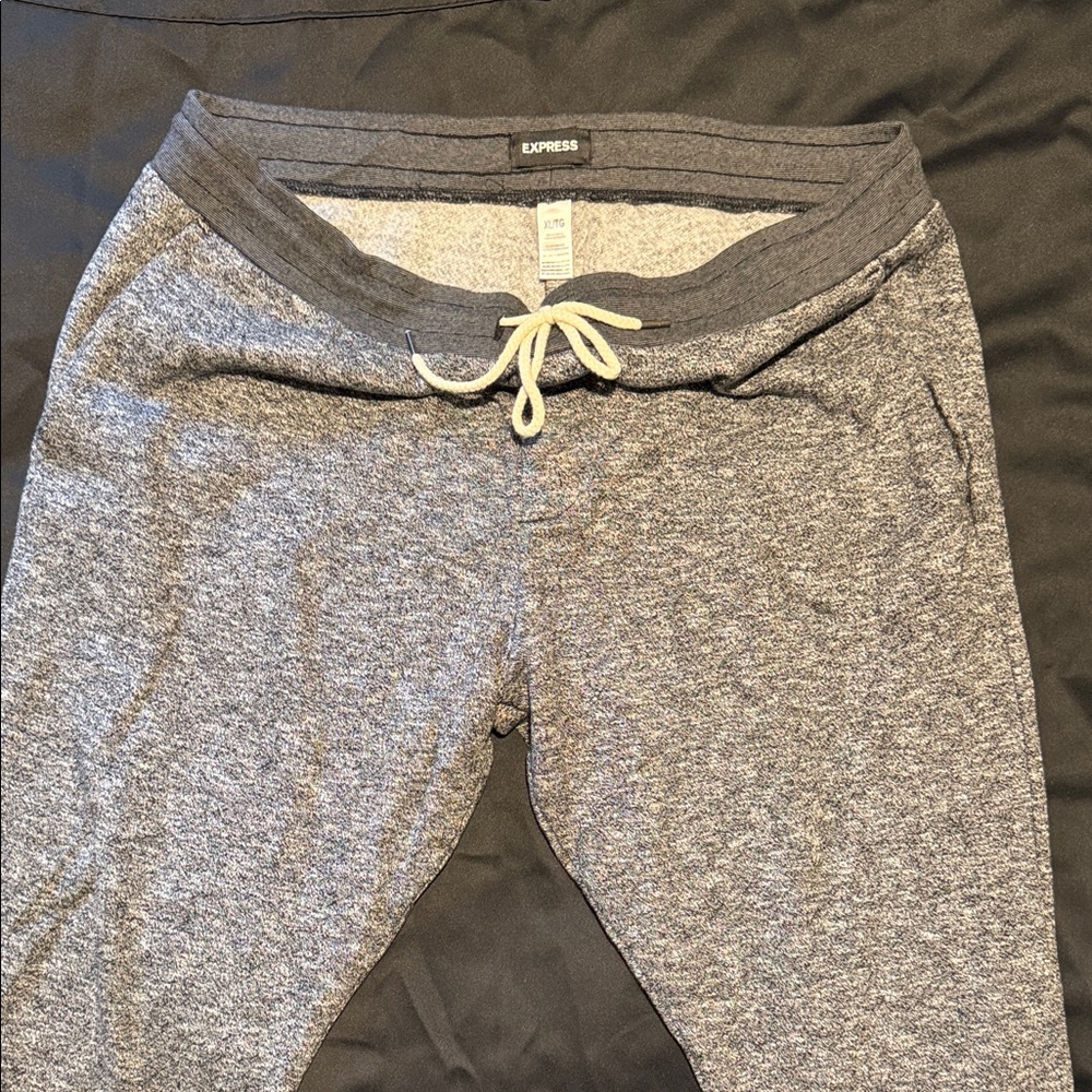 Express Men’s Gray Jogger Pants